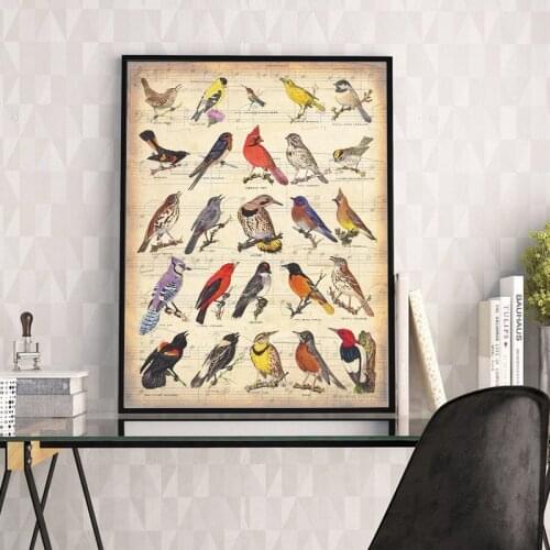 Vintage Song Bird Species Poster Canvas Painting Colorful Birds on Sheet Music Wall Art Prints Musician Gift Office Home Decor