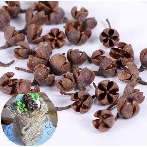 100pcs Dried Plant Fruits For Wedding Party Holiday Candy Boxes Bag Venue Decoration Craft DIY Accessory