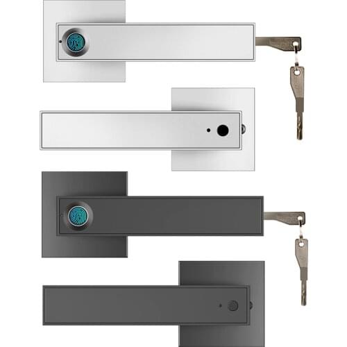 F180 Electronic Smart Lock Semiconductor Biological Fingerprint Handle Lock For Alexa with Keys for Smart Home Office Bedroom