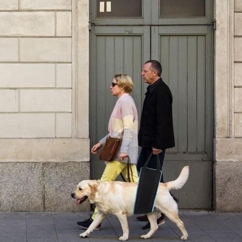 Waterproof Dog Support Harness Pet Dog Lift Harness Soft Lining Pets Lifting Vest For Old Injured Large Dogs With Handle