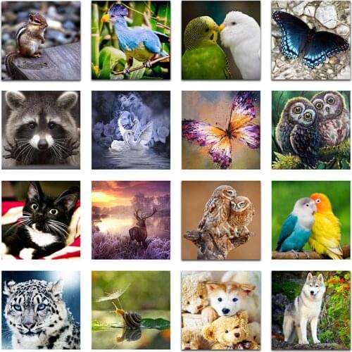 Full Round Diamond embroidery Animals bird Full Square Diamond mosaic Cats&dogs 5D DIY Diamond painting Cross stitch Tiger&Lion