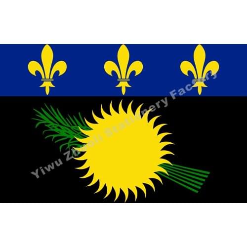 France Guadeloupe (local) Flag 150X90cm (3x5FT) 120g 100D Polyester Double Stitched High Quality Banner Free Shipping