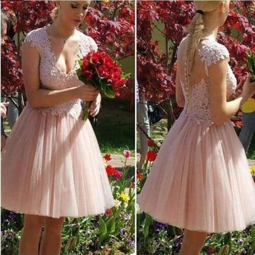 Free Shipping A Line Pink V-Neck Short Graduation Dress 2020 Lace Appliques Beaded Homecoming Dresses Illusion Buttons Back Prom