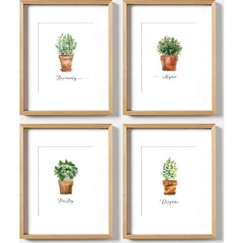 Watercolor Herb Collection Kitchen Wall Art Canvas Posters Prints Decor Oregano Thyme Rosemary Parsley Art Painting Pictures