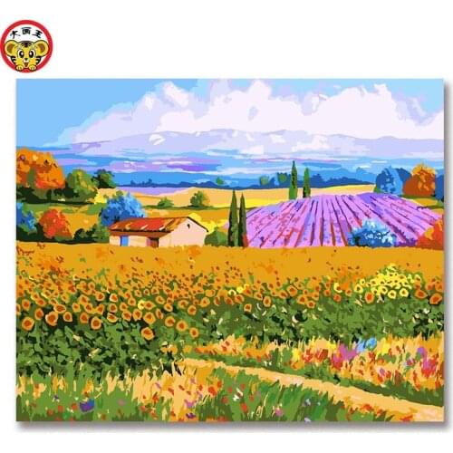 Diy home decor oil painting by numbers drawing hand painted picture Wall Decor Flower field far mountain landscape illustration