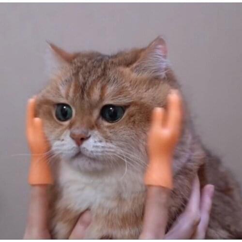 Pet Cat Cat Face Dog Comb Brush Massage Relaxer Massage Roller Pet Comb Brush Tool Supply Roller New Cat Interactive Comfortable