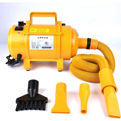 2020 New Ozone Function Speed Adjustment Pets Hair Dryers Strong Power 2200Wd 50Hz 200v-240V Low Noise Dogs Water Blower Machine