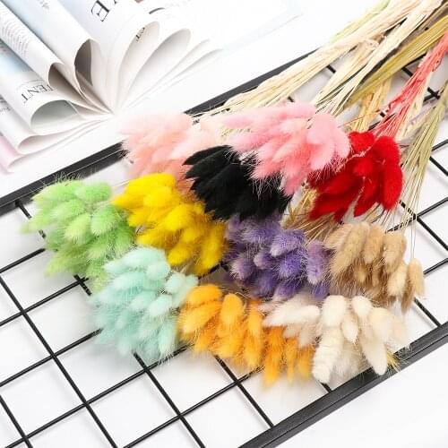 20pcs Natural Dried Flowers Colorful Fake Rabbit Tail Grass White Artificial Flowers Bouquet Long Bunches Home Wedding Decor