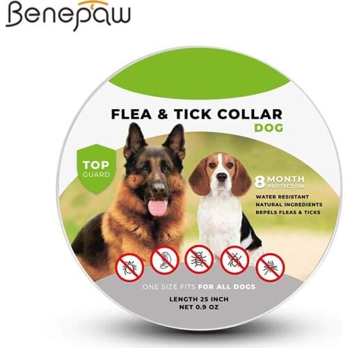 Benepaw Safe Dog Flea and Tick Collar Natural Hypoallergenic Waterproof Pet Collar One Size Fits All 8 Month Protection