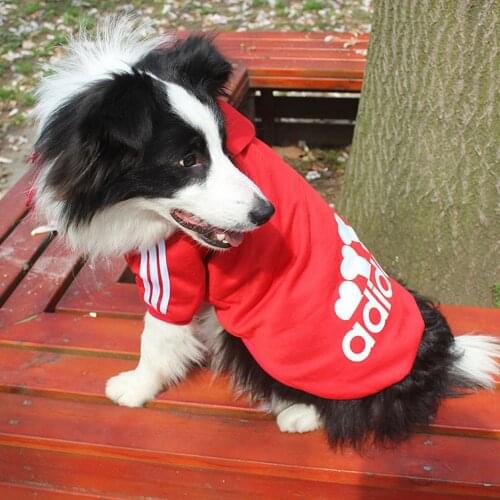 Puppystar Sweatshirts For Dogs