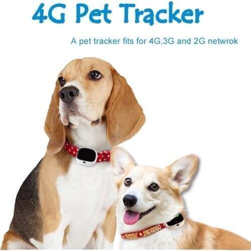 4G Pet Trackers Real-time Tracking Waterproof Accurate positioning Pet GPS Collars RYDV43