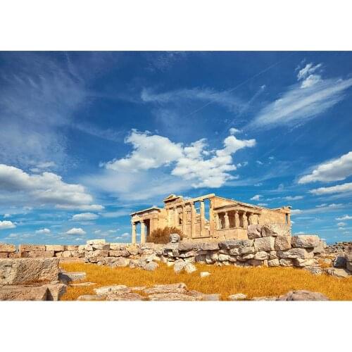 Photo Background Ancient Building Ruins Vinyl Cloth Backdrop Photography Props for Wedding Children Baby Portrait Photobooth