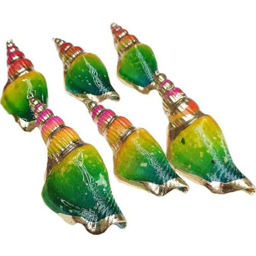 5pcs Natural Conch Shell Multicolor Gold Gilt Edge Small Pendant for Charms Women Jewelry Making DIY Necklace Choker Accessories