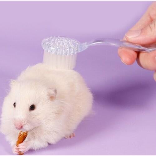 Soft Pink Bath Brush Hedgehog Hamster Golden Bear Cleaning Brush Small Pet Comfortable Massage Cleaning Tools