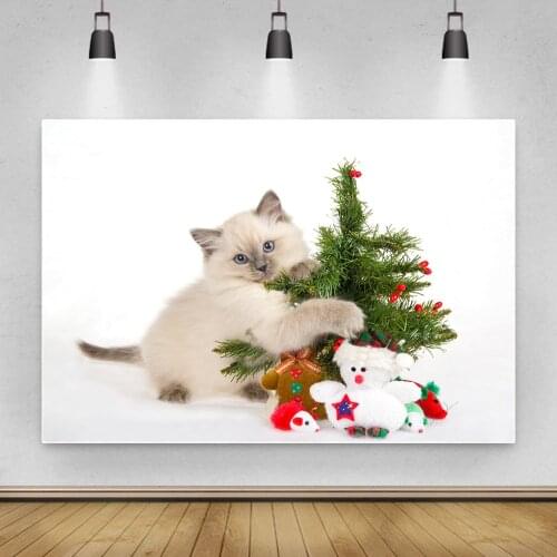 Background Photo 3D Cute Cats Printed Photocall Photozone Vinyl Photography Animals Theme Backdrop Photos Decorations