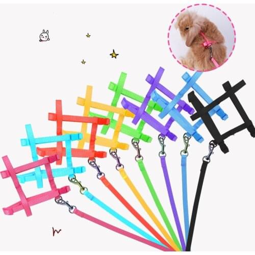 New Rabbit Cat Puppy Traction Rope Harness Adjustable Outdoor Soft Running Pet Bunny Rabbit Accessories Guinea Pig