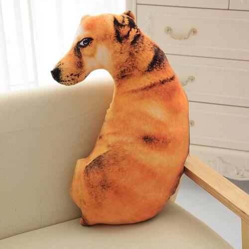 ZMHEGW Cushions
