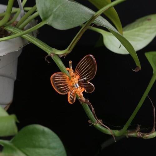 2021 New 30 Pcs Butterfly Orchid Clips Plant Clips Garden Flower Vine Support Clips Cute