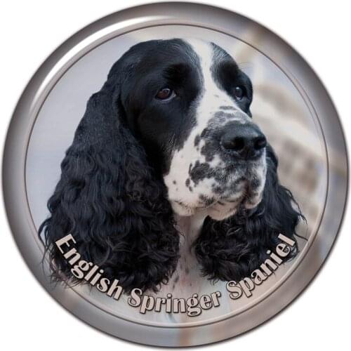 B0857# 13CM/17CM Self-Adhesive Decal English Springer Spaniel Dog V3 Car Sticker Decors on Bumper Rear Window Laptop