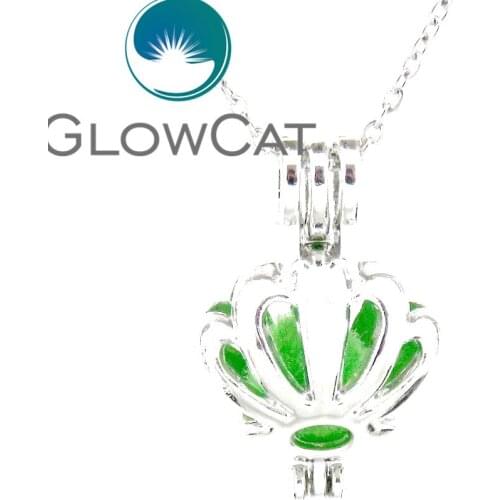 Ch-LL598 Bright Silver Daisy Flower Locket Necklace Beads Cage Essential Oil Diffuser Akoya Oyster Pearl Cage