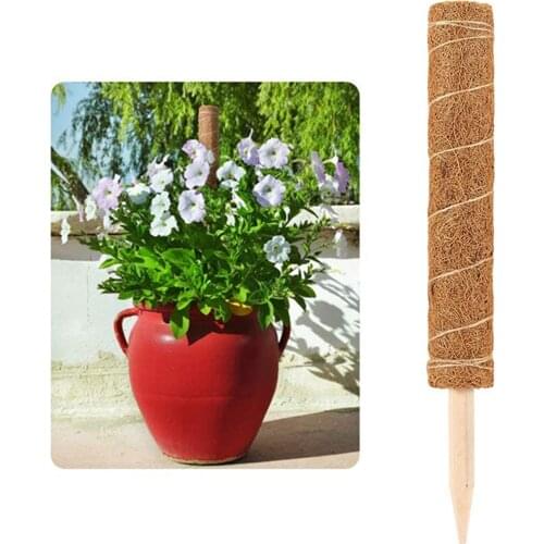 Plant Support Pole Garden Coir Totem Poles For Climbing Plants Stick Office Extension Coconut Fiber Creeper Indoor Garden Plants