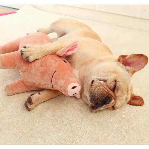 Plush Pig Pet Dog Accompanying Sleeping Toys for Small Dogs French Bulldog Bite Molar Venting Supplies Puppy Dog Playing Toy