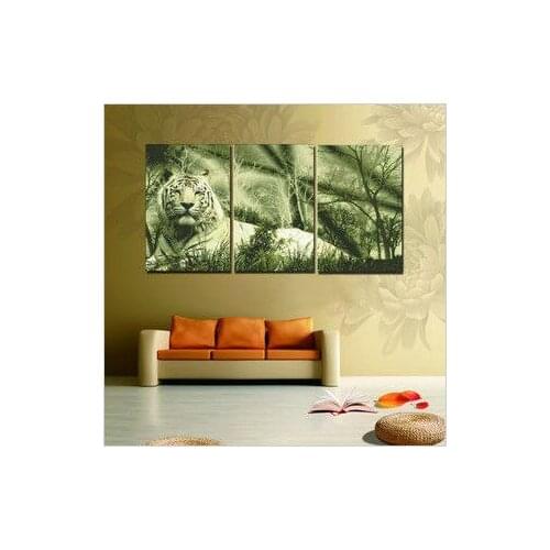 Embroidery Package Free Shipping Cross Stitch Kits Triple Tiger Animal