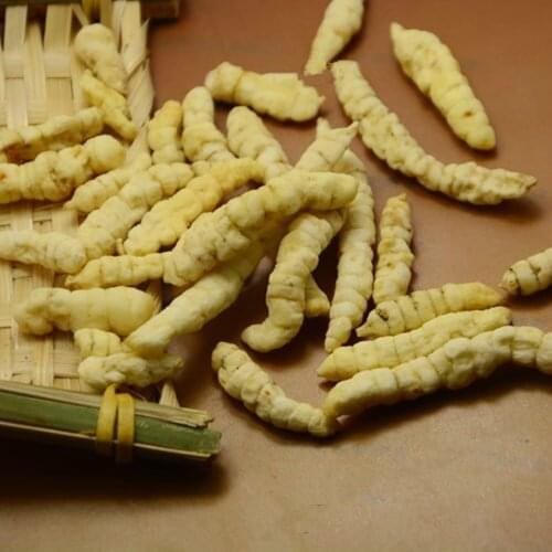 Cao Shi Can, Stachys Sieboldii Root, Di Can, Gan Lu Zi, Chinese Artichoke