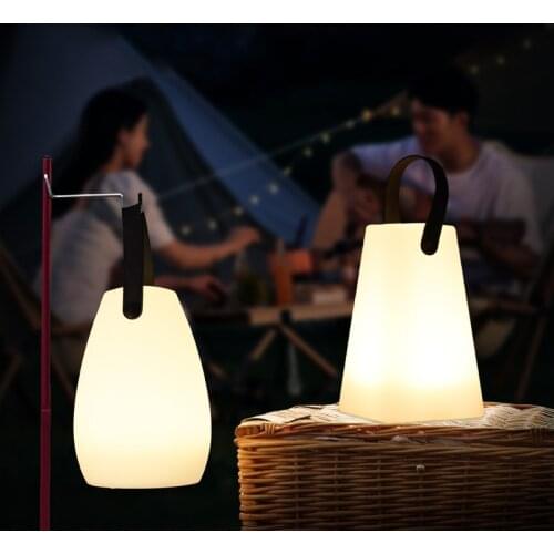 Outdoor Indoor Waterproof Light Up Portable LED Decorative Table Garden Lamps Events Camping Mood Lights with Remote Control