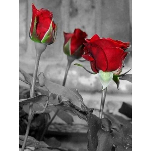 Flower Rose DIY Cross Stitch Embroidery 11CT Kits Craft Needlework Set Cotton Thread Printed Canvas Home Decoration Dropshipping