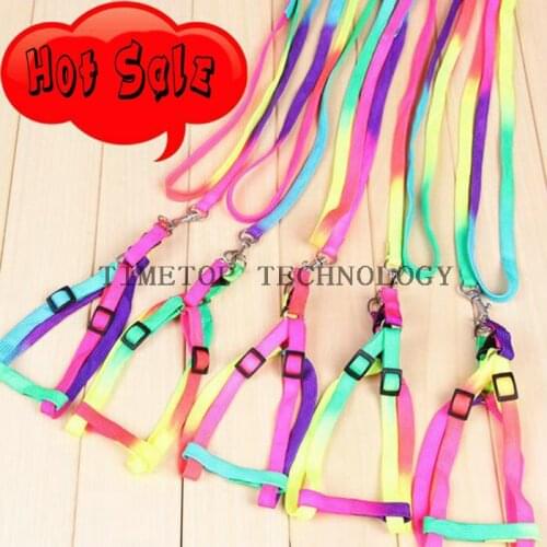 200Pcs/Lot Dog Lead Ropes Dog Collars Leads Puppy Dog Products Pet Product Training Belt Pet Running Lead Rope