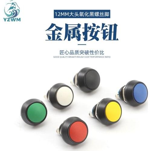 YZWM 12mm metal self reset start spherical metal button automobile refitted start button waterproof switch