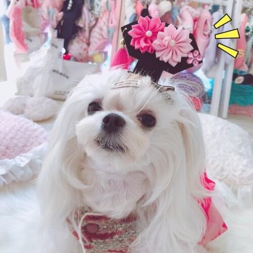 New Pet Dog Hair Lima Clips Fashion Cute Small Cat Puppies Small Animals Yorkshire Terrier Hairpin Pet Grooming Hair Accessories