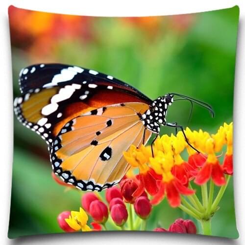 Butterfly and Flowers Square Cushion Covers Insect Blue Yellow Throw Pillows Cover for Home car sofa Decor 16 18 20 inches