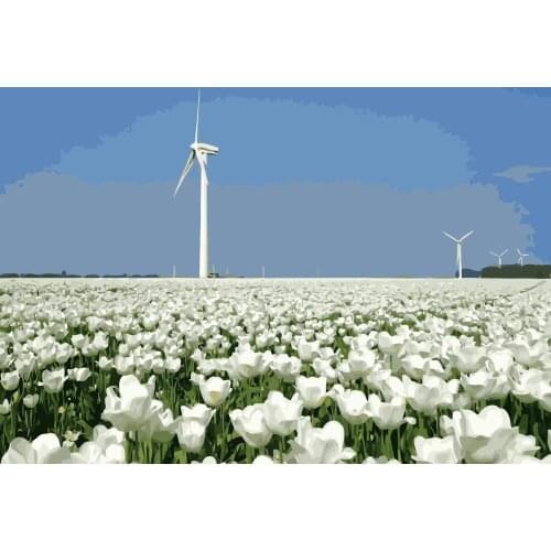 TQX-13 White tulip Manor DIY Painting By Numbers Acrylic Paint On Linen Digital Painting Wall Art Picture