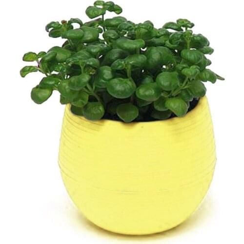 Small Cute Succulent Plants Flower Pot Saucer Tray Planter Home Desk Garden Decor