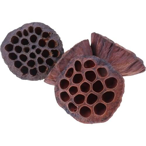 New 1pcs Natural Dried Flower Lotus DIY Decor for Home Party Office Decorative Pressed Flowers