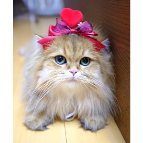 Manual DIY Valentines Day cat headdress dog head set pet headgear hair accessories hairpin cat accessories pet supplies cat