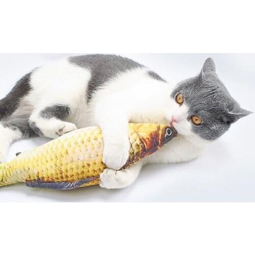 3D Carp Fish Shape Cat Toy Cat toy Pet Soft Plush Creative Doll Simulation Fish Playing Toy Home Pet Product