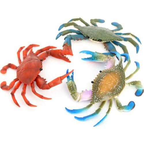 Large Size Kids Toy Crab Realistic Sea Animal Model Plastic Figure Toy Gifts Summer Wash Toy Home Decoration