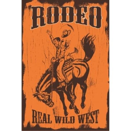 Cowboy Western Horse Crazy Animation Movie Poster Rodeo 20x30 Cm Wall Table