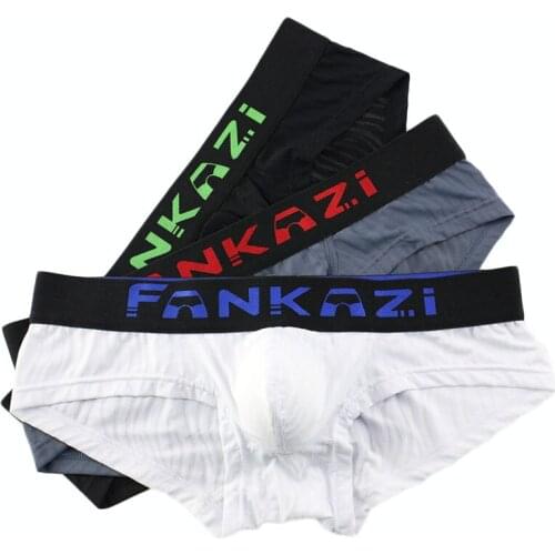 3PCS/Lot Mens Underwear Briefs Summer Ice Silk Sexy Underwear Men Briefs Transparent Low Waist Male Panties Underpants