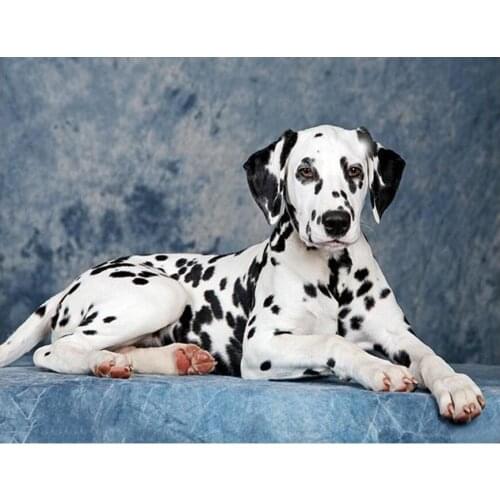 Labrador diamond mosaic embroidery white dog painting rhinestone snake wall stickers diamond drawing art needlework handcraft