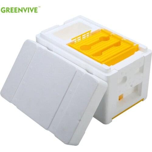 Mini Poly Beehive Harvest Bee Box Queen Pollination Beekeeping for Bee Mating Copulation Queen Rearing Beehive Feeder Movable