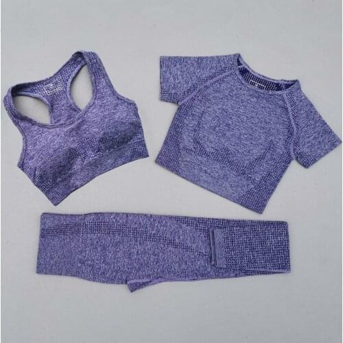 2/3PCS Vital Seamless Yoga Set Sports Wear Women Fitness Clothing Yoga Leggings+Sport Bra+Short Sleeve Crop Top Gym Sports Suits