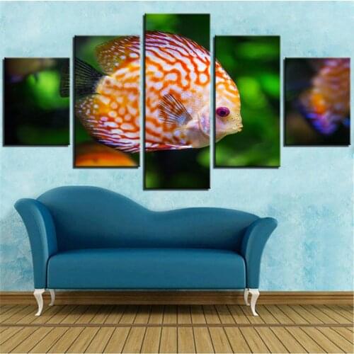 5 Pieces Orange Fish In the Sea Canvas Wall Art Painting Animals Posters For Home Decoration Seascape Pictures Wallpapers