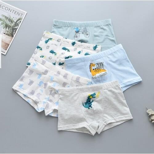 2pcs/set Kids Thong Boys Underwear Children Panties For Boys Teen Underpants Boy Cotton Teenage Panties Children Dinosaur 4-12