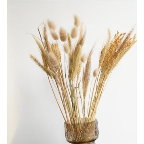 20Pcs Natural Dried Flowers Bunny Tail Flowers Wheat Branch Real Flower DIY Craft Bouquet for Home Wedding Decoration