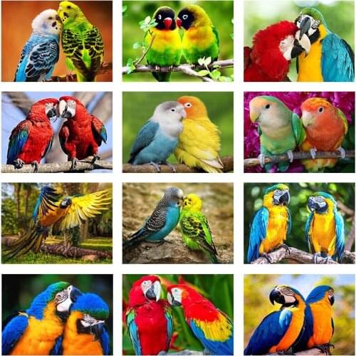 Full Mosaic Drill Square Round DIY Diamond Painting Cross Stitch 5D Parrot Bird Animal Diamond Embroidery Home Decor Art