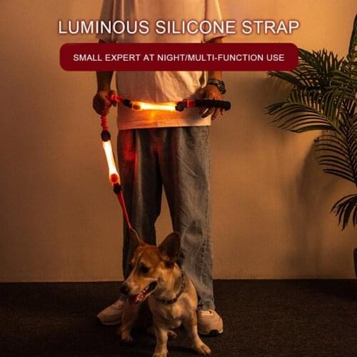 Pet Luminous Collar Strap LED Night Safety Glow Dog Leash Decorative In The Dark Dogs Fluorescent Collars Pet Supplies